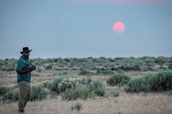 Shane tracks down four invasive species that make him reconsider what it means to belong.