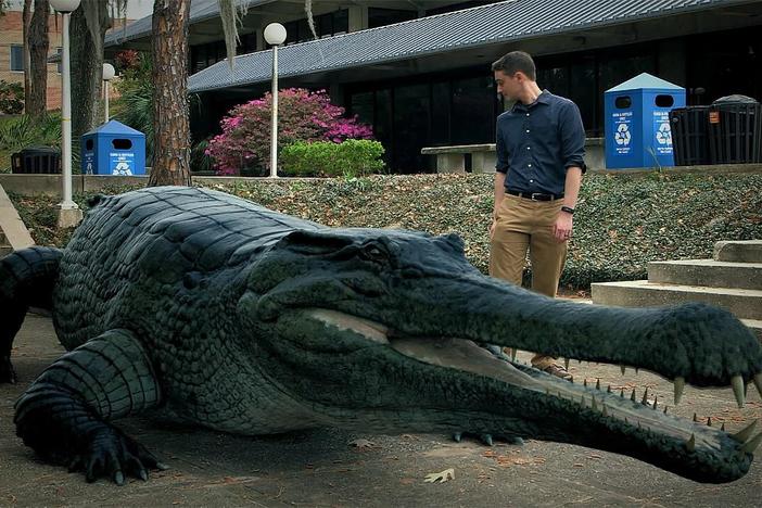 Follow scientists trying to determine which giant animal was the apex predator
