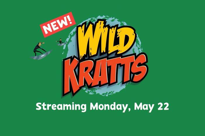 ALL NEW EPISODES of WILD KRATTS STREAMING MAY 22ND!