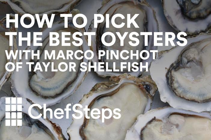 When oysters are good, they’re very, very good. Here’s how to make sure each one’s a gem.