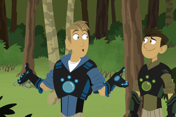 Chris and Martin see a squirrel and a blue jay fighting over an acorn.