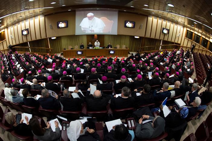 News Wrap: Pope Francis opens historic summit on sex abuse