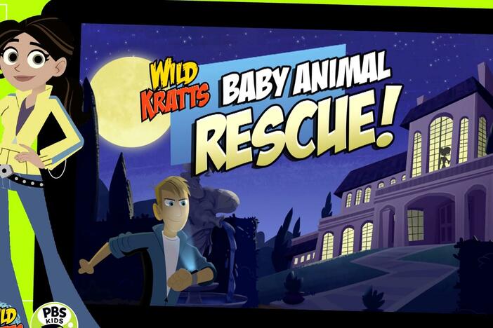 Rescue some baby animals with the Wild Kratts!