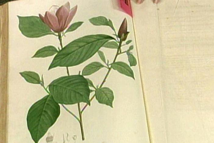 Appraisal: "Jardin de la Malmaison" Book, from Vintage San Francisco.