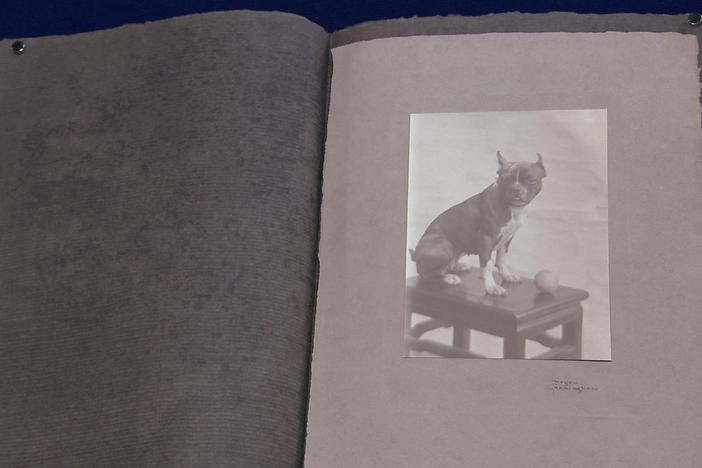 Appraisal: Imogen Cunningham Platinum Print, ca. 1910, from Junk in the Trunk 6.