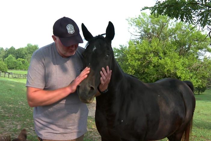 How a former D.C. police officer found direction by rescuing mistreated horses