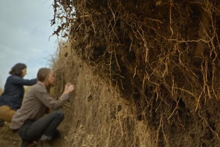 Plants are reacting to our changing climate so scientists are looking to soil for answers.