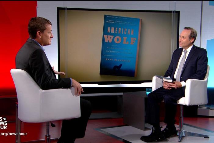 'American Wolf' author Nate Blakeslee answers your questions