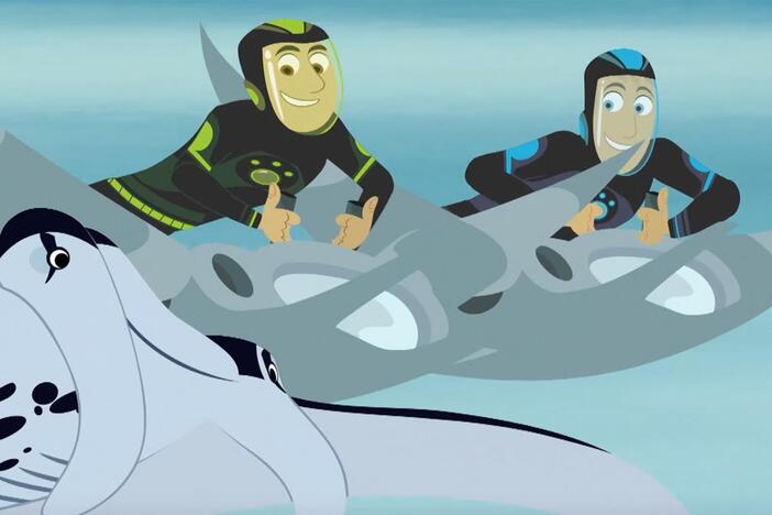 The Kratts leap out from underwater using manta ray-like devices.