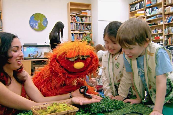 Join Murray and learn all about Science and Nature. 