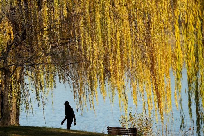 How climate change is making fall foliage less colorful