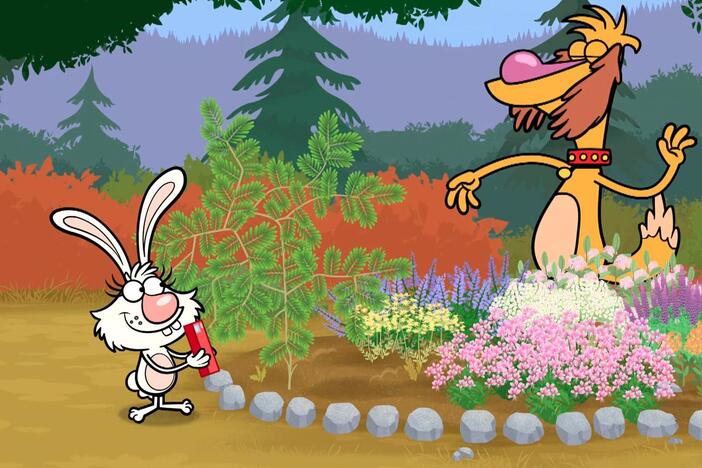 Daisy needs to find another science project to exhibit at the Animal Science Fair.
