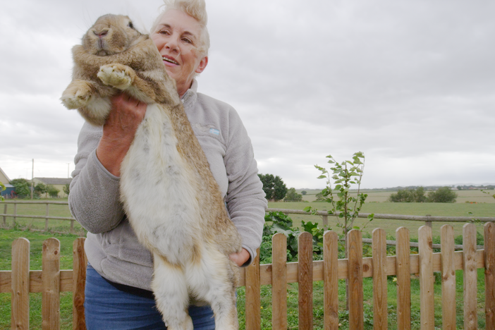 Annette Edwards breeds the world's largest rabbits, including the world’s reigning giant.
