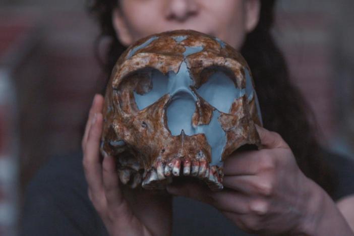 Chris Rynn builds a picture of a Neanderthal face that hasn’t been seen for 60,000 years.