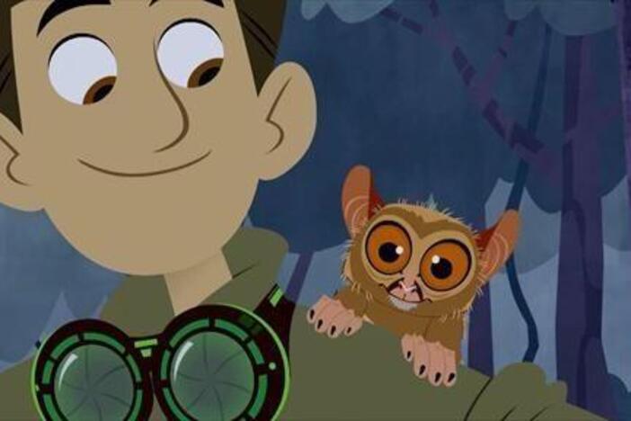 Chris and Martin use the lessons from a tarsier to help find their way through the jungle.