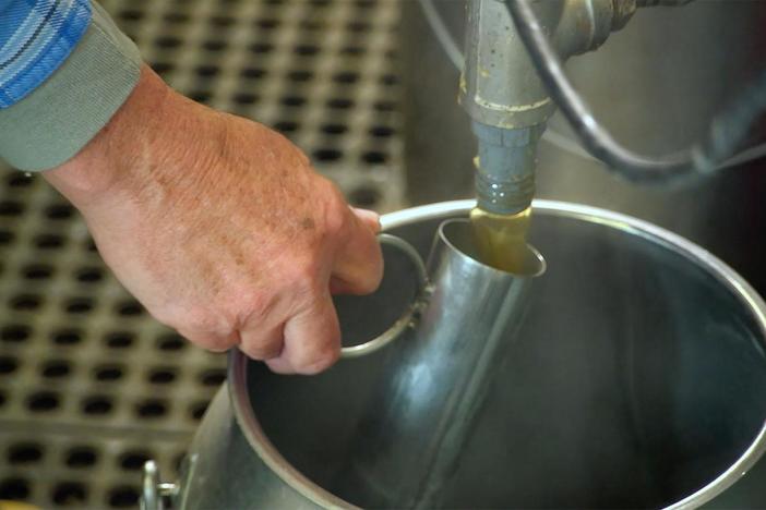From tapping the treat to breakfast table, explore the science behind making maple syrup.