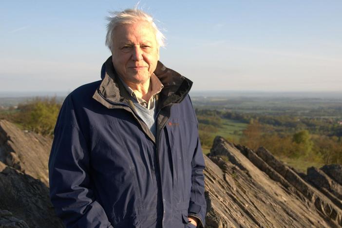 An intimate portrait of Sir David Attenborough’s life and career in natural history.