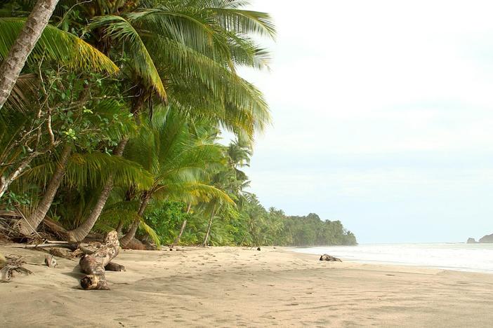 Two scientists scan islands off Panama for clues to determine how the country was formed.