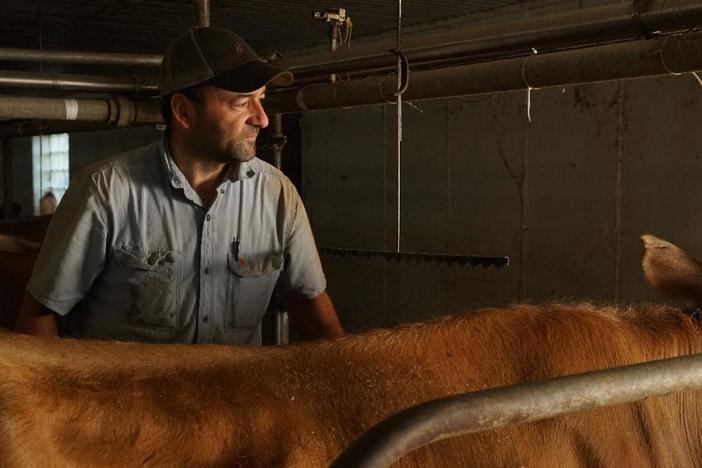 Wisconsin dairy farmers are struggling to stay afloat