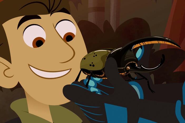 Chris and Martin are in the Rainforest looking for the Hercules Beetle.