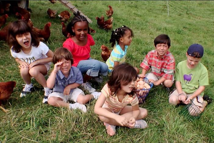 Learn all about farming at the Stone Barns Egg Farm.