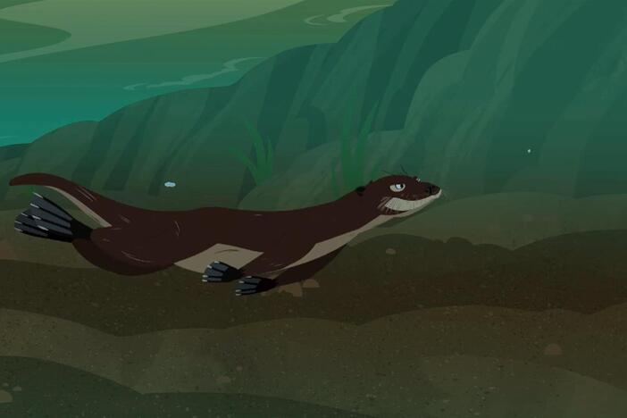Martin is chased by an otter while in his bass power suit.