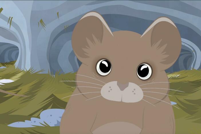 The Kratts introduce a small mammal which can survive the winter with the help of snow!