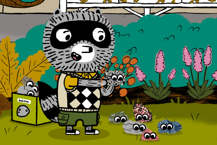Carl shares his pet rock collection with his friends.