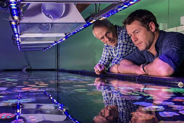 As our oceans change, can science, nature and tradition prepare us for a fast-changing future?