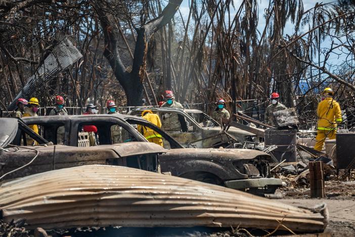 Native Hawaiian discusses cultural landmarks, art and artifacts destroyed by Maui wildfire