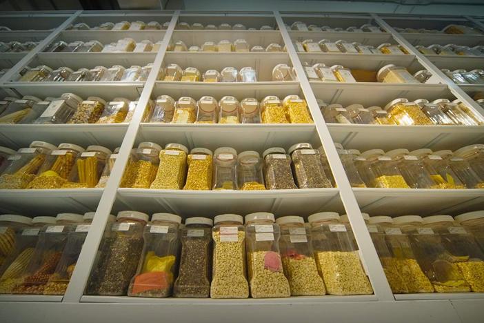 Watch the rise of a productive crop that has managed to replace itself, but at what cost?