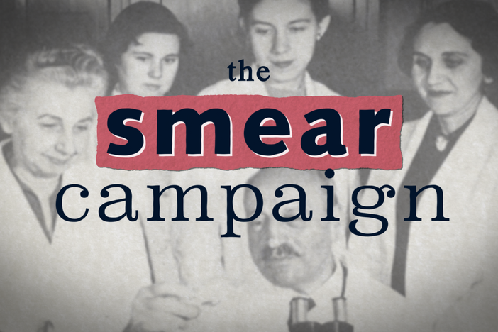 What do guinea pigs, eugenics and Japanese incarceration during WWII have in common?