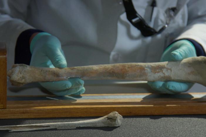 Can a team of forensic archaeologist identify three WWII airmen that disappeared?