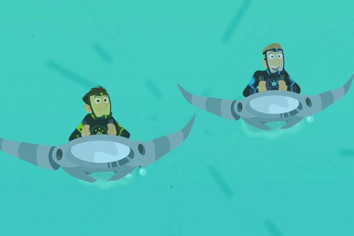 Martin and Chris are on a high speed ride as they check out a group of Sailfish.