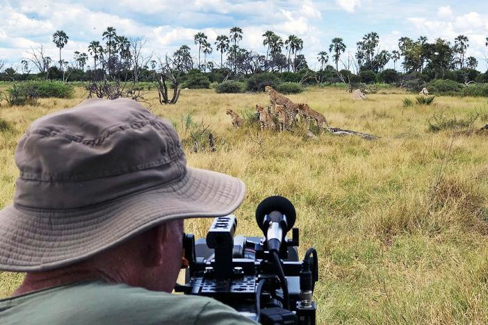 Filmmakers discuss their experiences living on location with Africa's three big cat families.