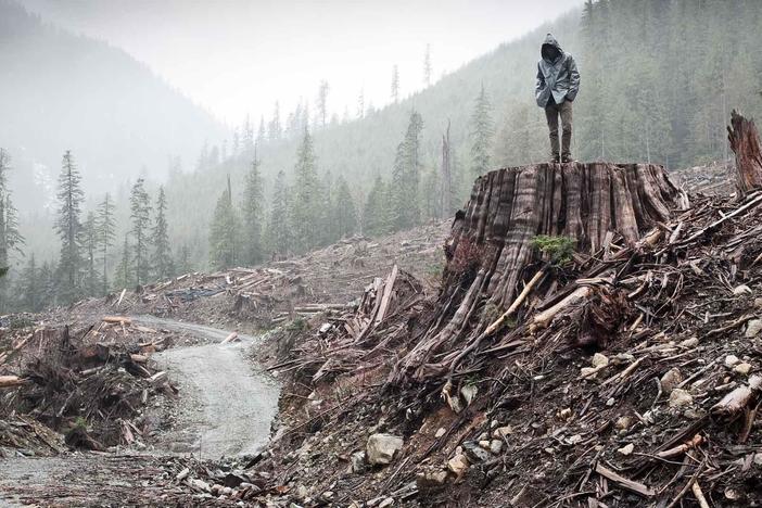 A documentary that lifts the veil on a radical environmental group.