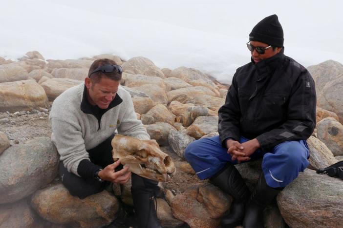 Steve and the team find something extraordinary at the hot springs in Greenland.