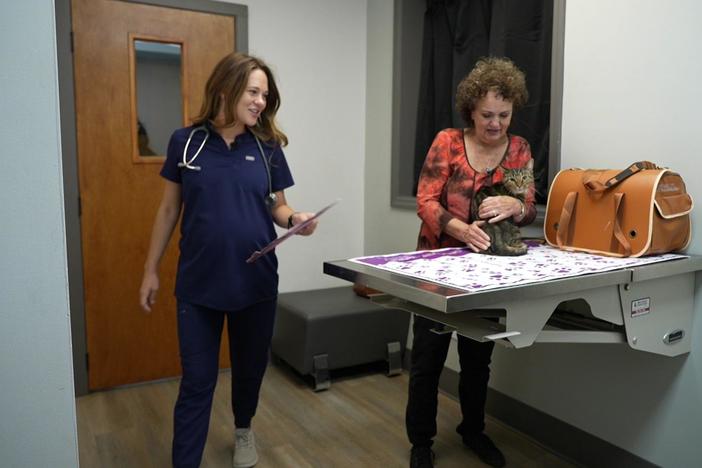 After pandemic pet boom, owners struggle with rising costs of veterinary care