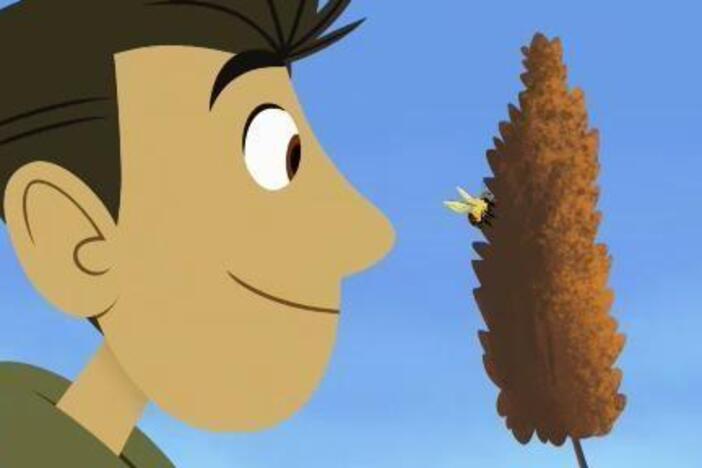 Chris learns why it's always best to give a bee its space. 