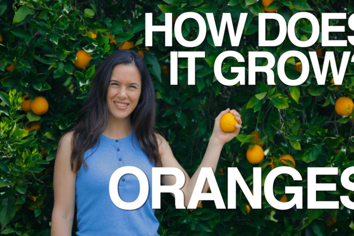 We hate to break it to you, but you’ve been choosing your oranges all wrong.