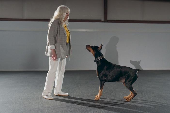 Shane joins a “canine freestyle” dance class.