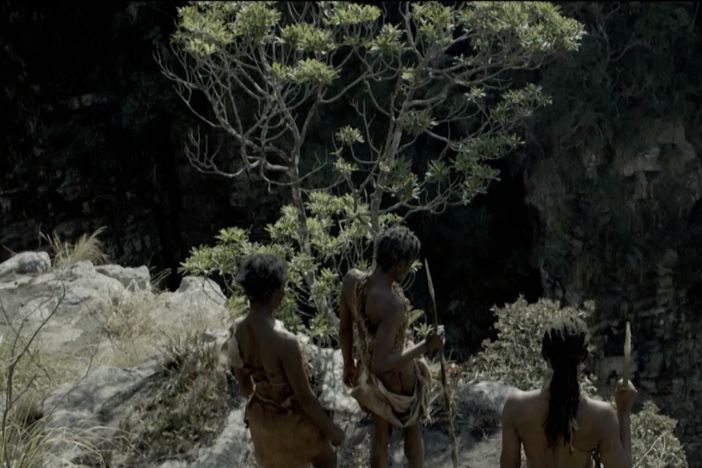 The close cultural and genetic link between early Australians and modern-day Aborigines.