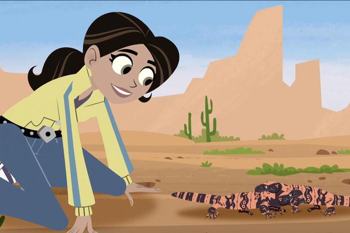 The gang gets to see a couple of Gila monsters facing off!