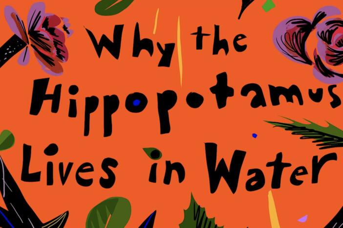 An African folktale about a hippopotamus.