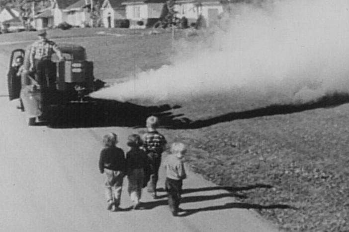 What was the effect of Rachel Carson's book Silent Spring?
