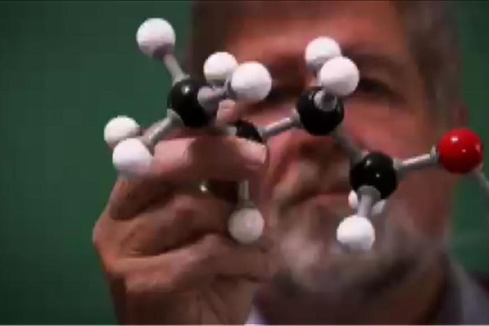 A look at the chemical properties of skunk spray.