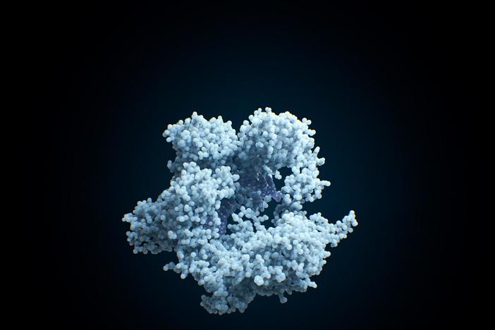 We can now edit the human genome with a tool called CRISPR. But how far should we go?