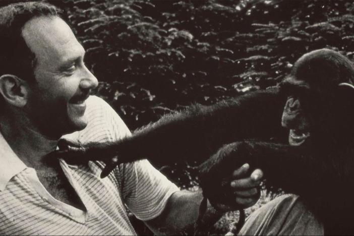 Another ape language specialist became convinced that the whole field was flawed.
