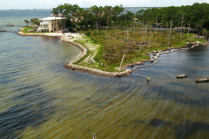 As sea levels rise, oysters and marsh grass reverse erosion