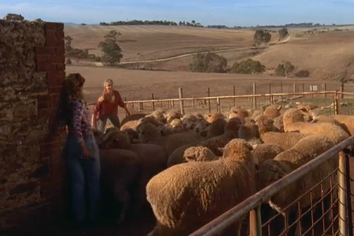 Sheering sheep and other rigors of a farm are as rough as it looks, Bridie Carter attests.